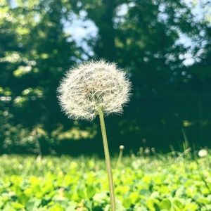 Meet your Posher, Lynn